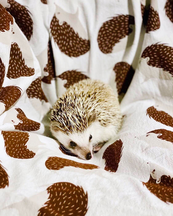 Hedgehog Tea Towel