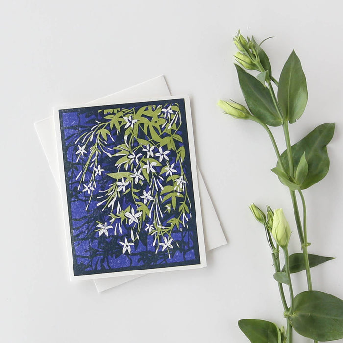 Climbing Jasmine Everyday Card - Boxed Set of Six