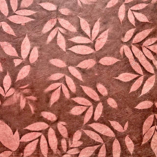 20x30 Fossil leaves paper, herbal big red