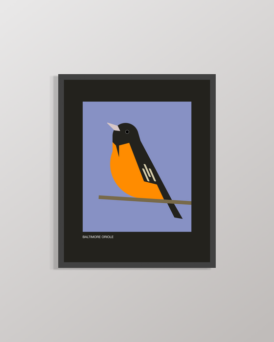 Baltimore Oriole | 8x10 Art Print