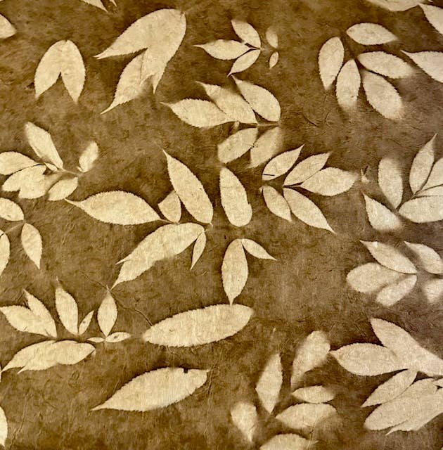 20x30 Fossil leaves paper: Red