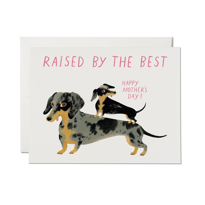 Raised by the Best greeting card: Single