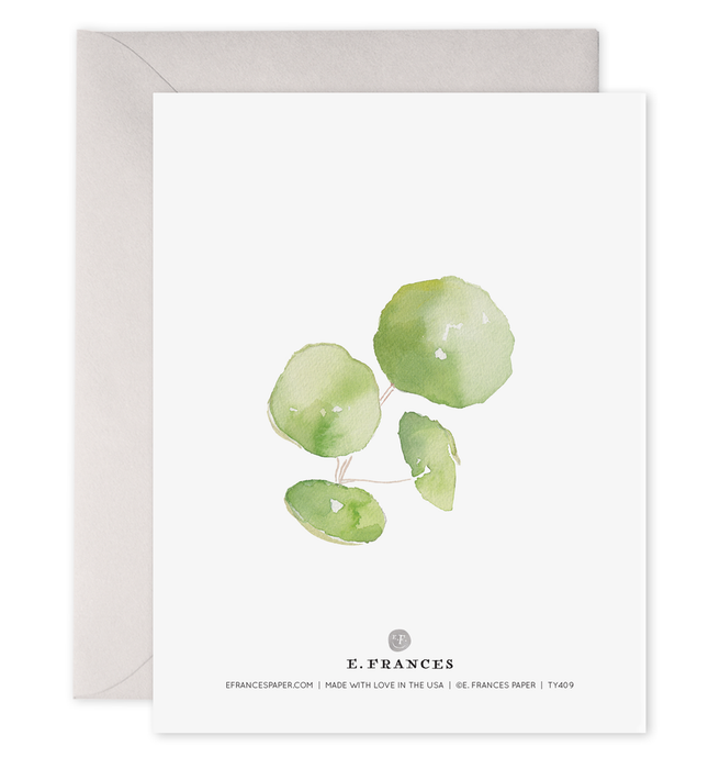 Pancake Plant Thank You, Box of 6