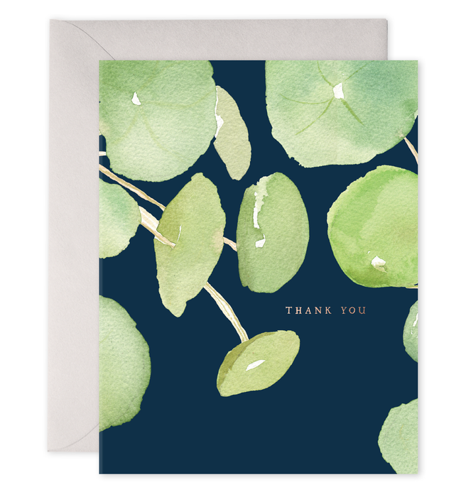 Pancake Plant Thank You, Box of 6
