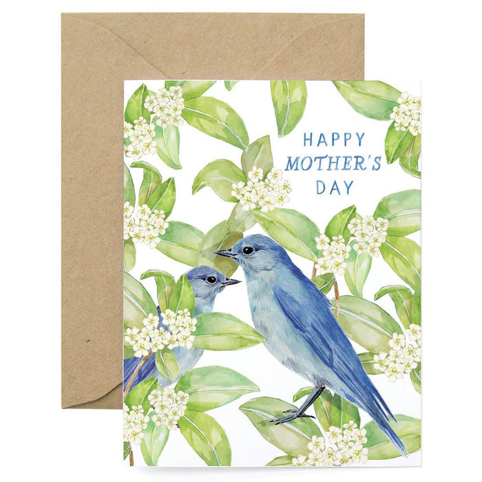 Bluebird Mom