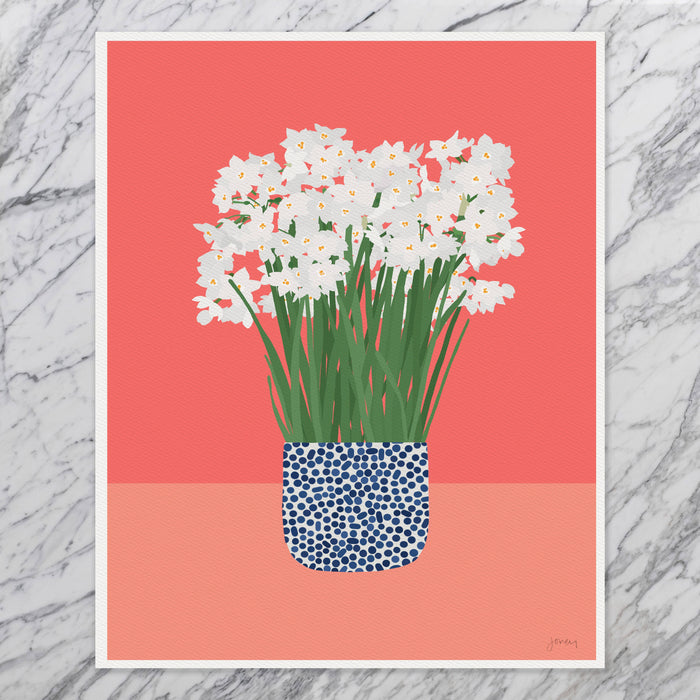 Paperwhite Flowers Art Print. Signed. Unframed. 220428: 11 x 14 unframed