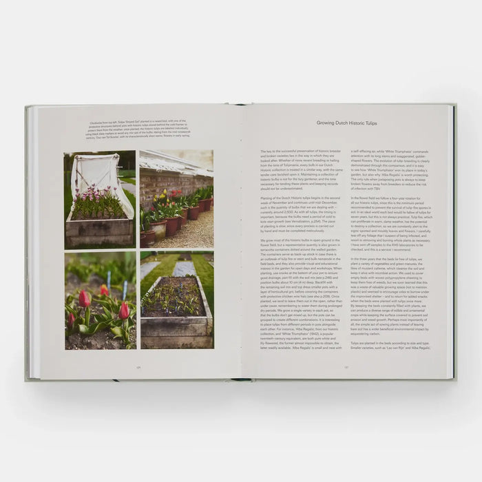 The Tulip Garden: Growing and Collecting Rare Species