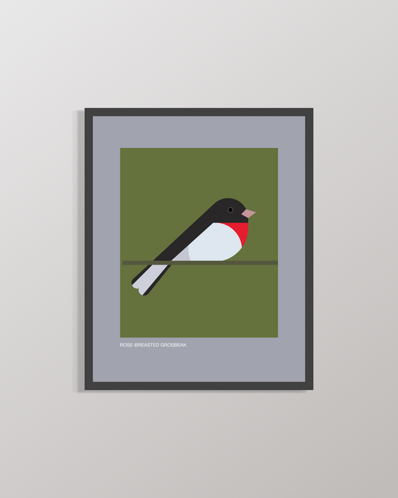 Rose-Breasted Grosbeak | 8x10 Art Print