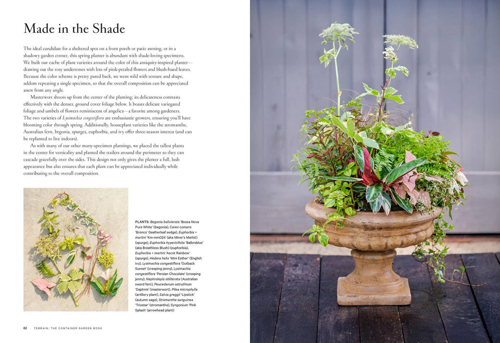 Terrain: The Container Garden Book: Paper Over Board