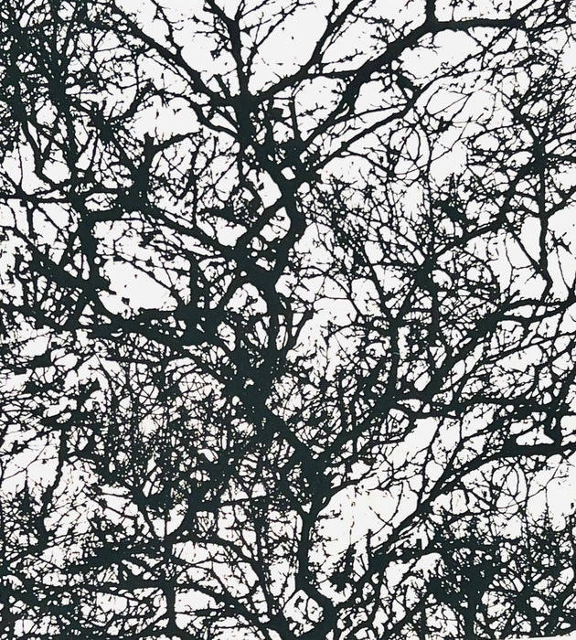 Branches, black on cream