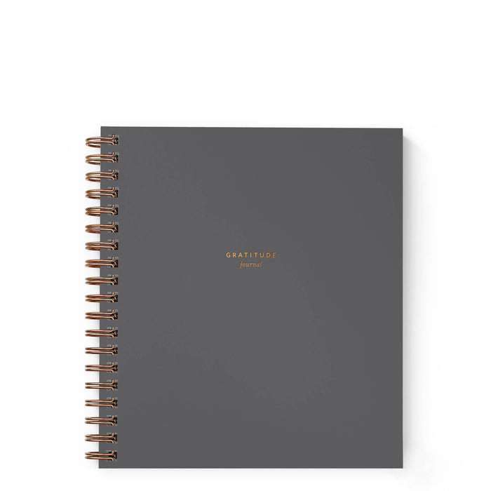 Mini Gratitude Journal | Assorted Colors: Dusty Rose