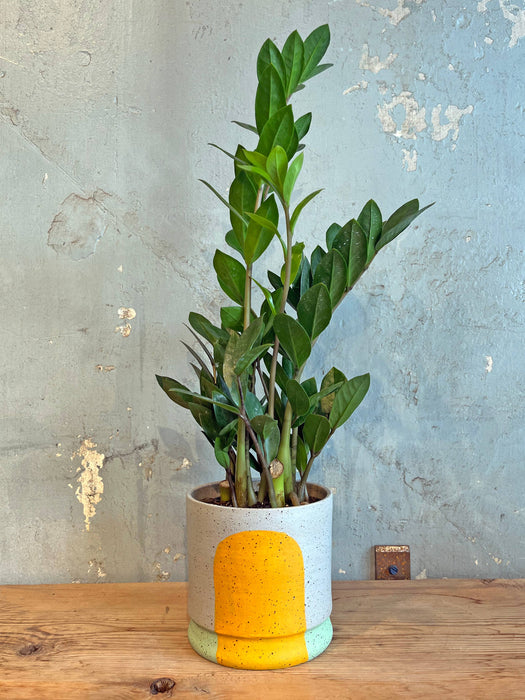 Portal Planters: The Agnes