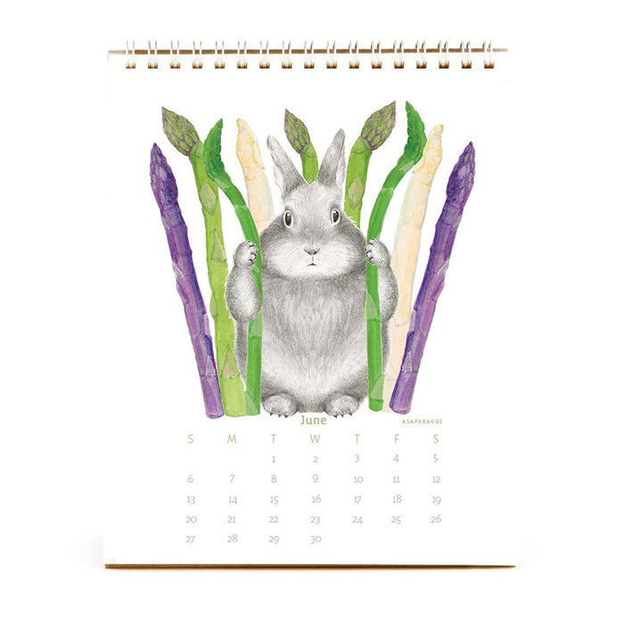 The 2027 Bunny Calendar (Preorder) 