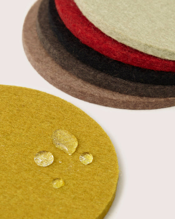 Bierfilzl Merino Wool Round Coaster Multi 6 Pack - Wander