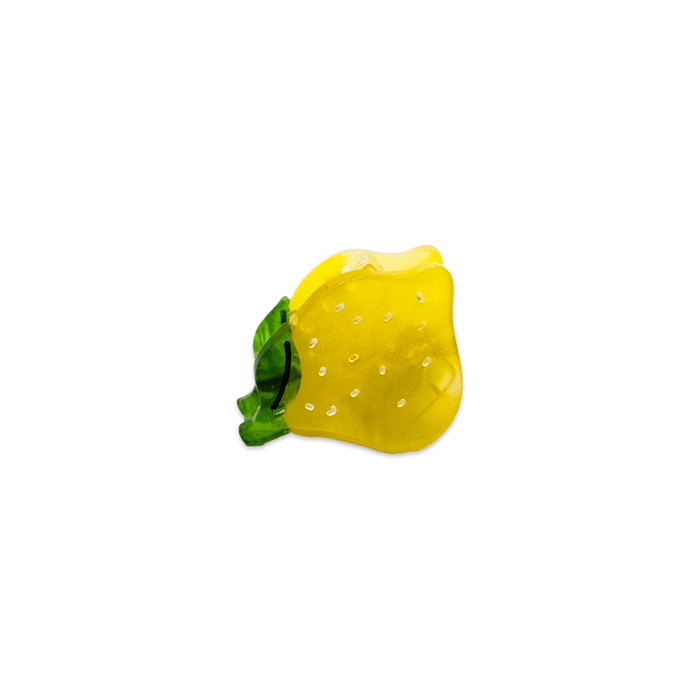 Micro Fruit and Flowers Hair Claw Clip Set