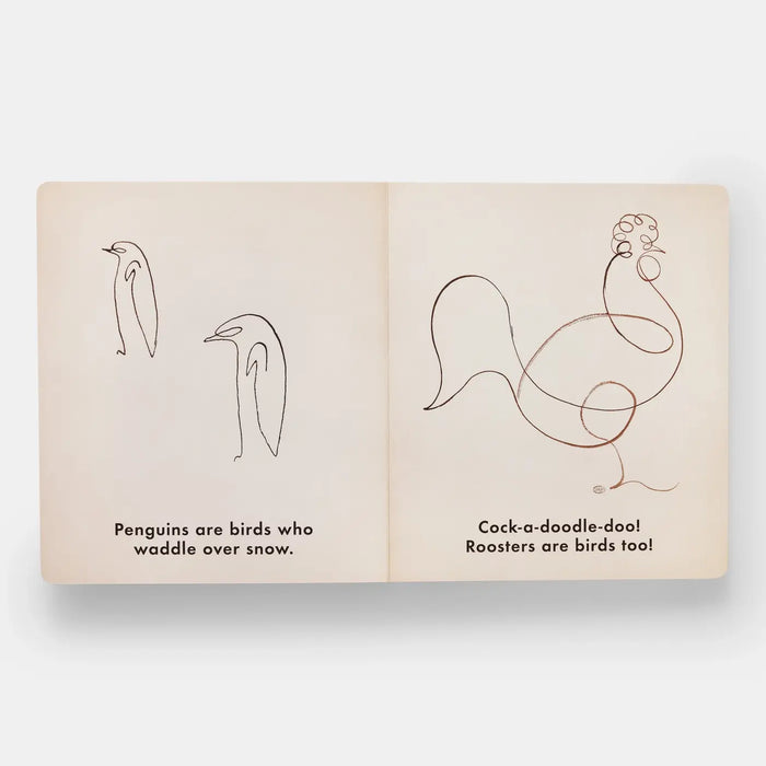 Birds & Other Animals