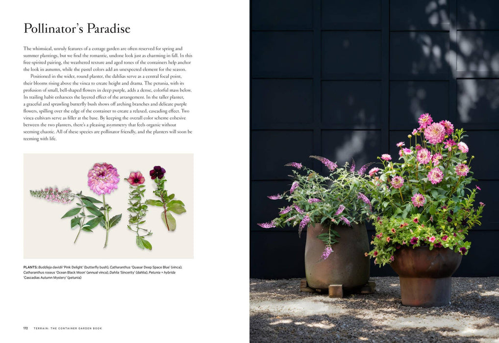 Terrain: The Container Garden Book: Paper Over Board