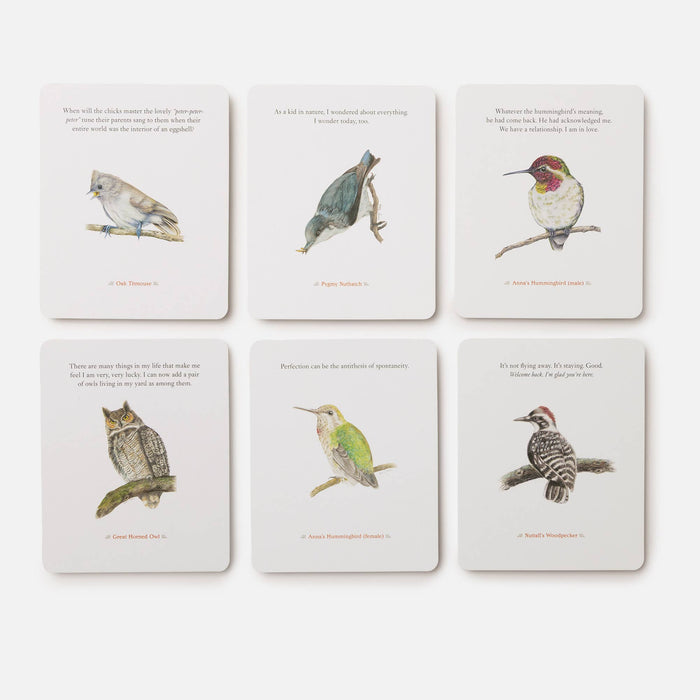 The Backyard Bird Deck