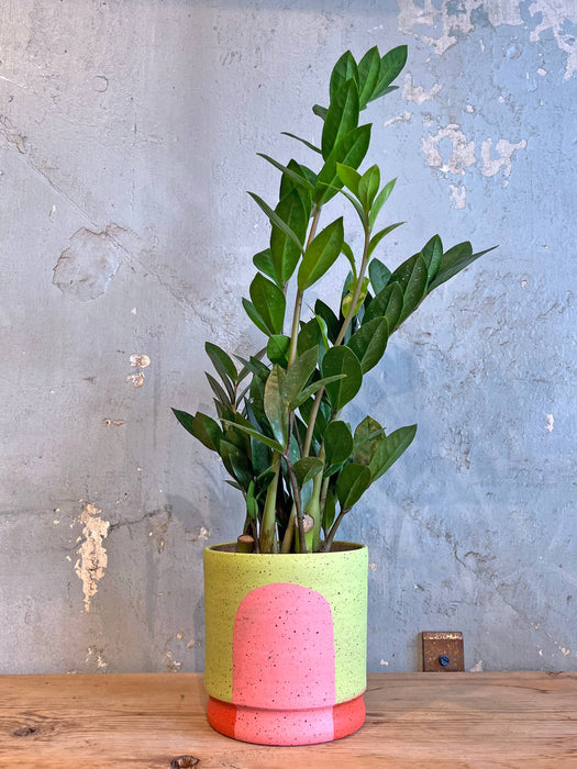 Portal Planters: The Rosalie