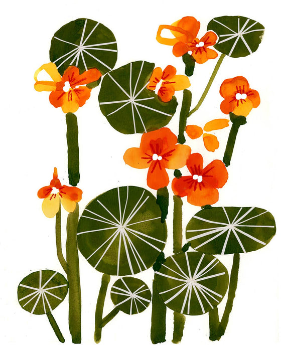 Art Print - Nasturtiums: 8X10"