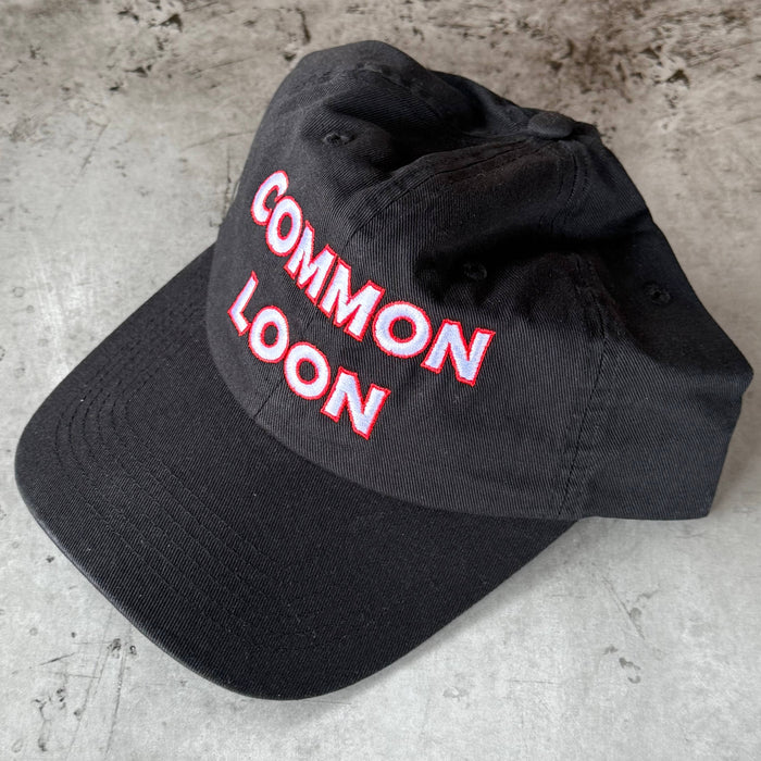 Common Loon Dad Hat baseball cap bird birder Museum nature