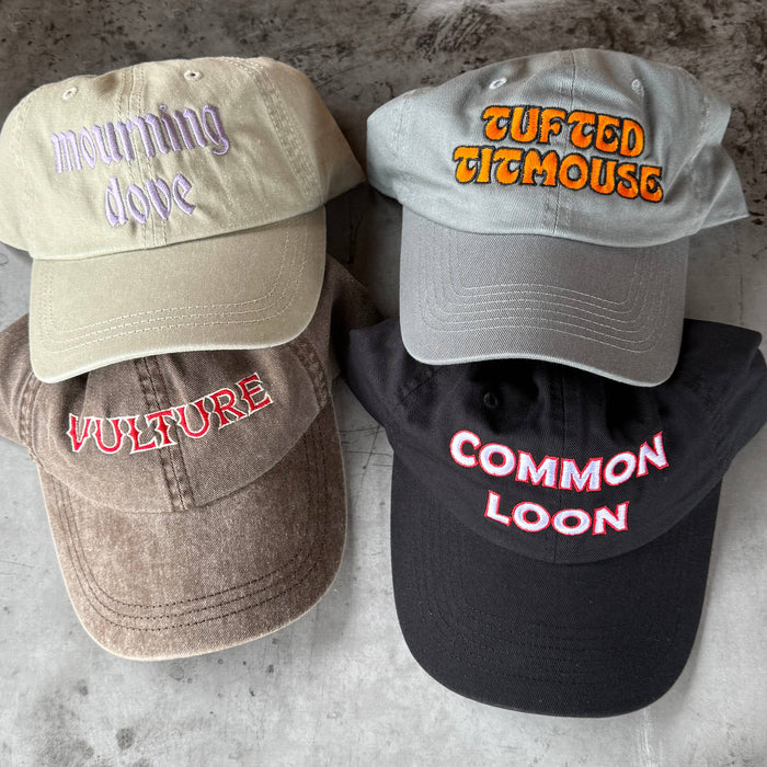 Common Loon Dad Hat baseball cap bird birder Museum nature