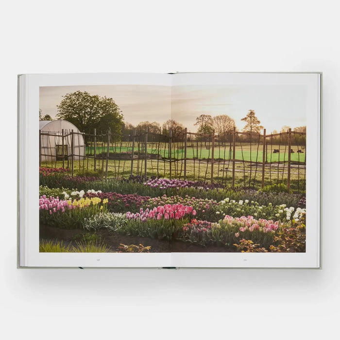 The Tulip Garden: Growing and Collecting Rare Species