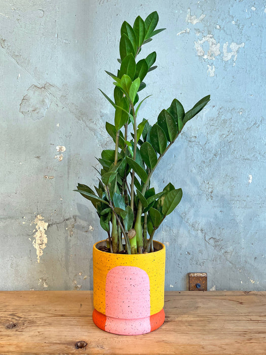 Portal Planters: The Megan