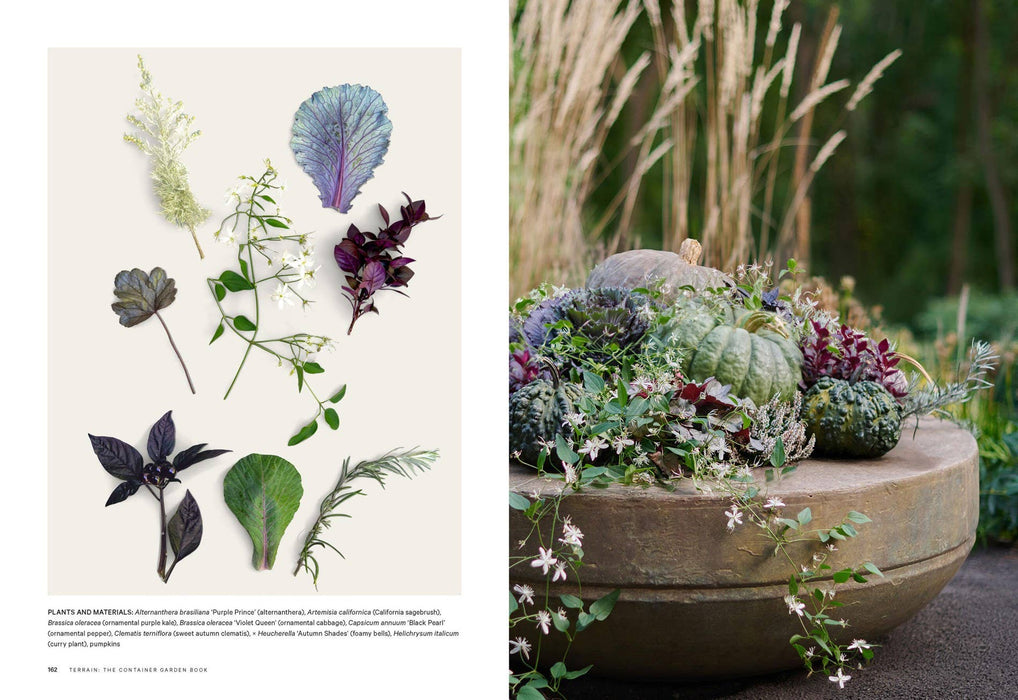 Terrain: The Container Garden Book: Paper Over Board