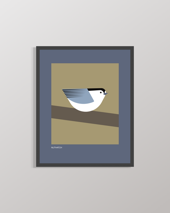 Nuthatch | 8x10 Art Print