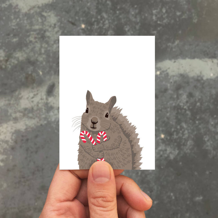 Squirrel Candy Canes Enclosure - Box of 8
