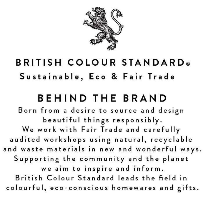 BRITISH COLOUR STANDARD - Enamel Soap Dish in Stone White