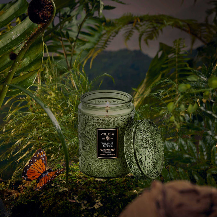 Japonica Large Jar, Temple Moss