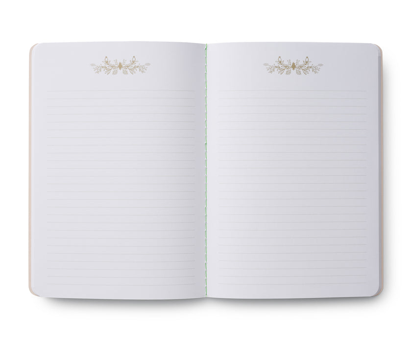 Curio Notebooks, Set of 3