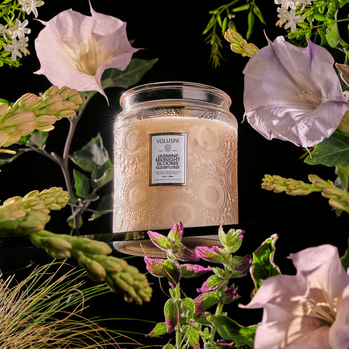 Japonica Large Jar, Jasmine Midnight Blooms