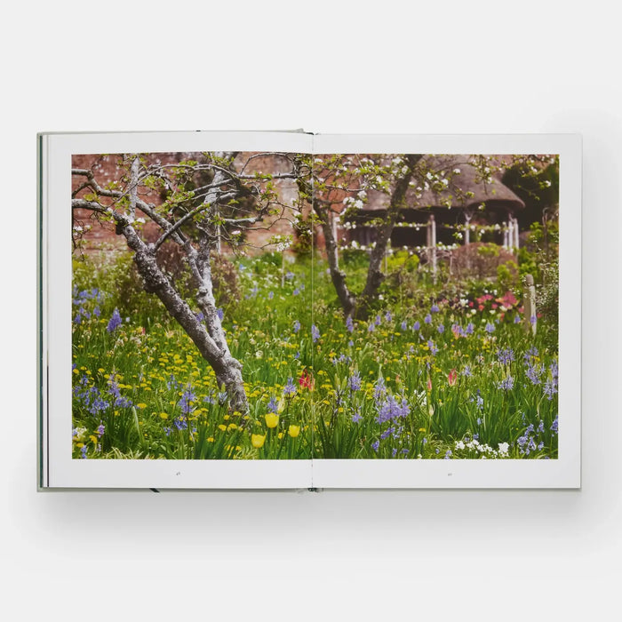 The Tulip Garden: Growing and Collecting Rare Species
