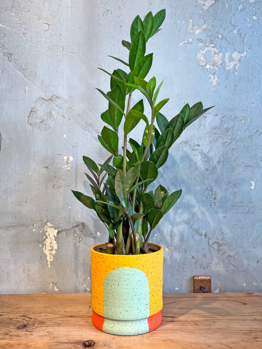 Portal Planters: The Phoebe