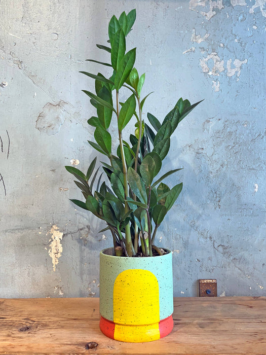 Portal Planters: The Betty