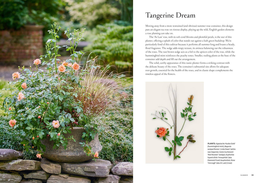 Terrain: The Container Garden Book: Paper Over Board