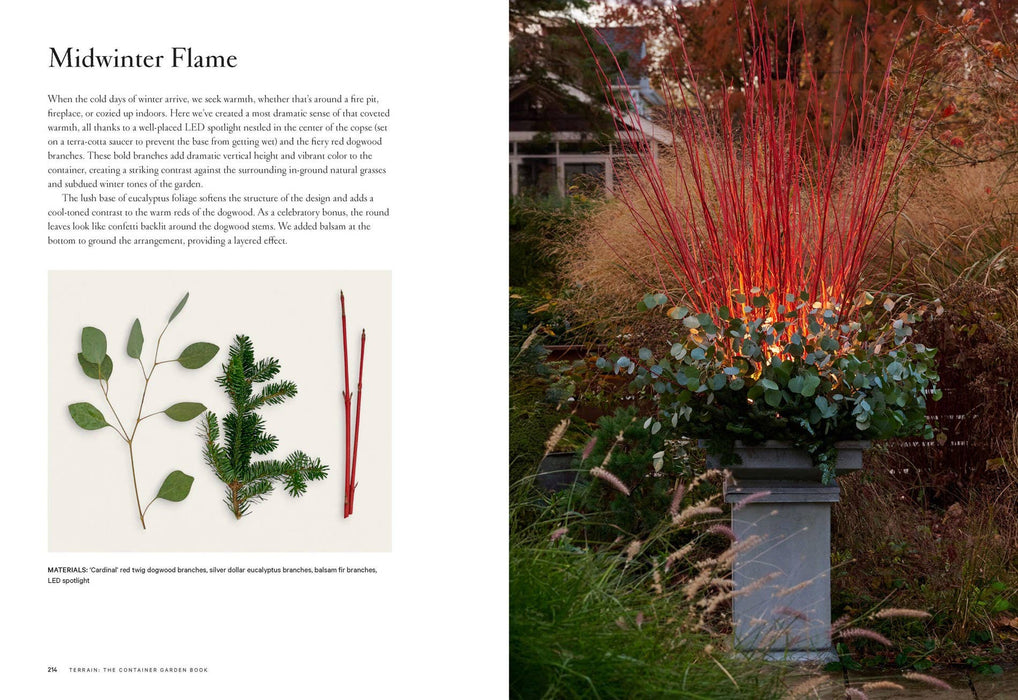 Terrain: The Container Garden Book: Paper Over Board