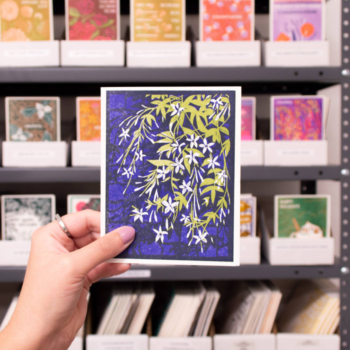 Climbing Jasmine Everyday Card - Boxed Set of Six