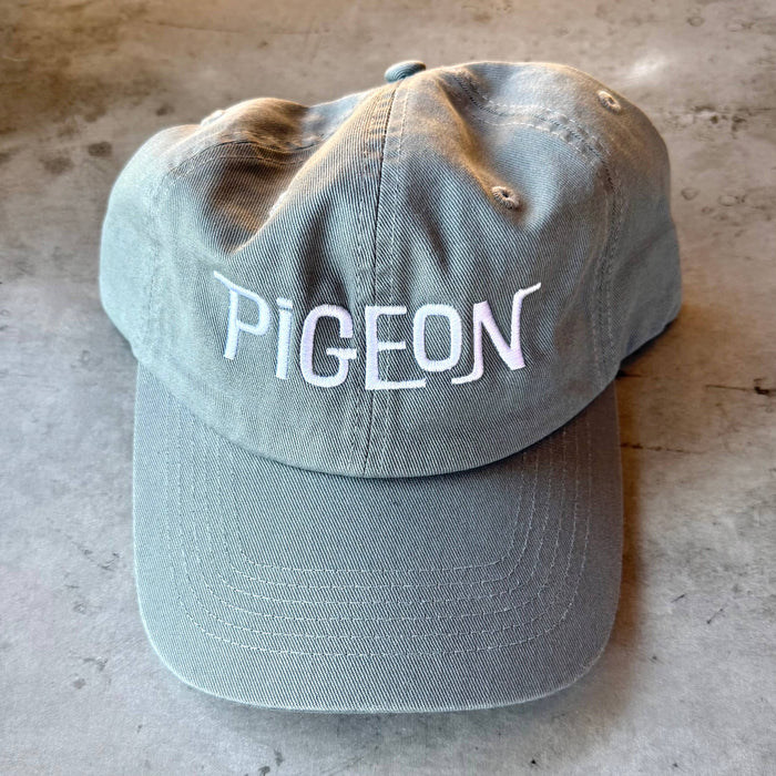 Pigeon Dad Hat baseball cap bird birder Museum city nature
