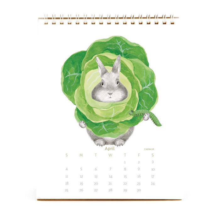 The 2027 Bunny Calendar (Preorder) 