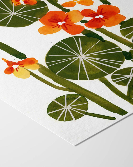 Art Print - Nasturtiums: 8X10"
