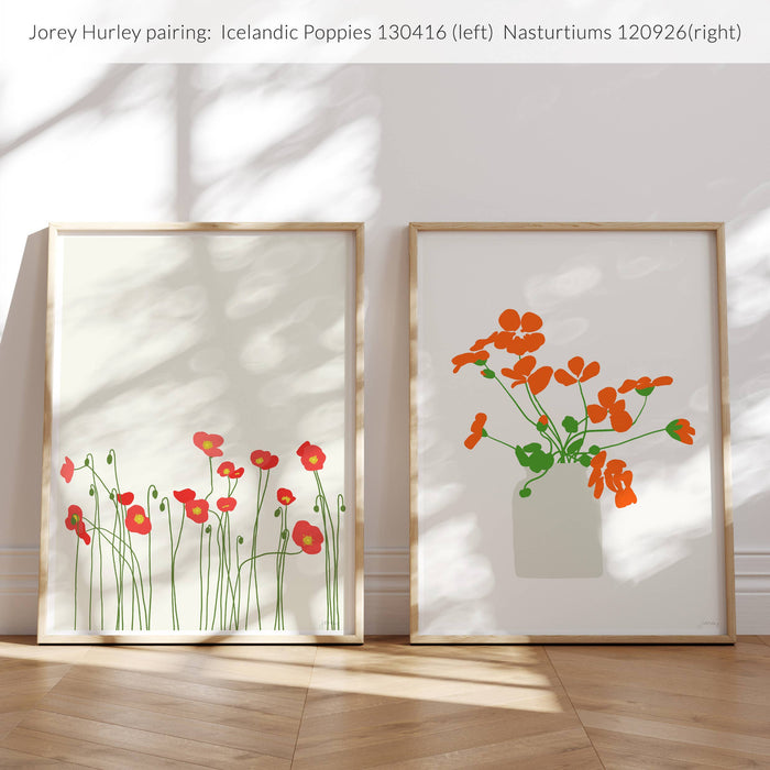 Nasturtiums Art Print. Signed. Unframed. 120926: 11 x 14 unframed