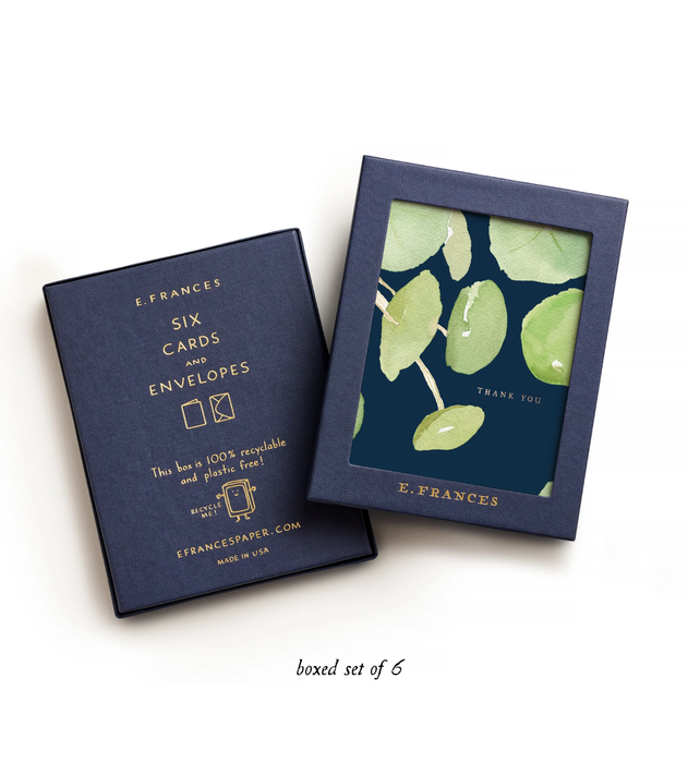Pancake Plant Thank You, Box of 6