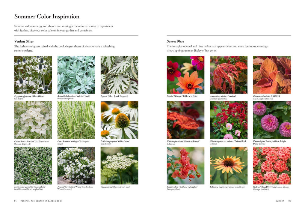 Terrain: The Container Garden Book: Paper Over Board