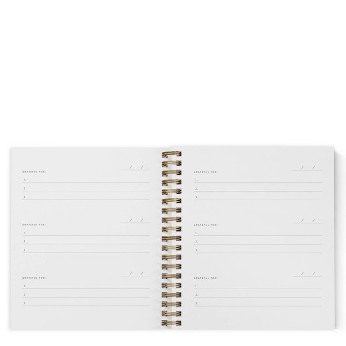 Mini Gratitude Journal | Assorted Colors: Dusty Rose