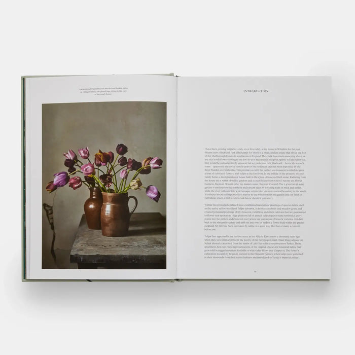 The Tulip Garden: Growing and Collecting Rare Species