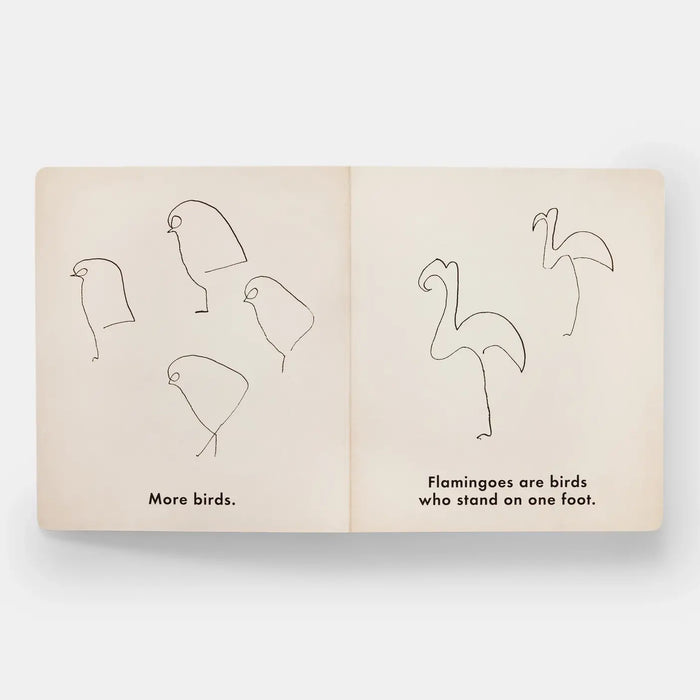 Birds & Other Animals
